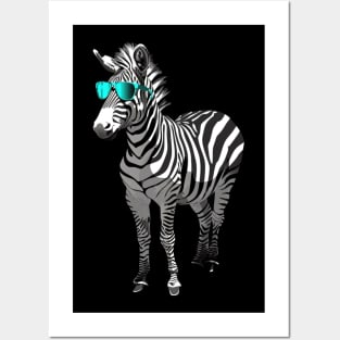 Zebra Awareness Campaigns Posters and Art